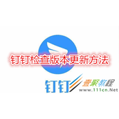 钉钉如何检查版本更新 钉钉检查版本更新方法