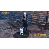 《黑色沙漠手游》喳喳兔如何获得