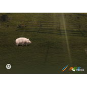 微信农场为什么这么火 微信农场玩法一览