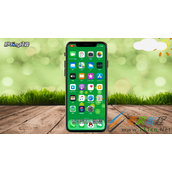 iPhone11微信如何开启面容支付 iPhone11微信开启面容支付方法