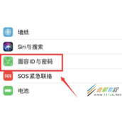 苹果微信支付如何设置面部识别 苹果微信支付设置面部识别方法