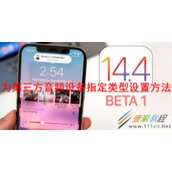 ios14.4为第三方音频设备指定类型如何设置 ios14.4为第三方音频设备指定类型设置方法