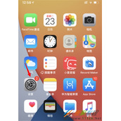ios14系统如何进行镜像设置 ios14系统进行镜像设置方法