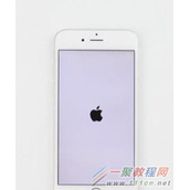 iPhone7白苹果怎么办？iPhone7白苹果重启方法