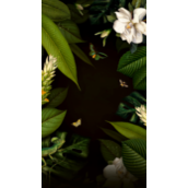 iphone8 HD 概念机壁纸原图 iphone8 HD 概念机壁纸下载