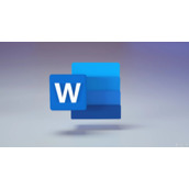 《word》图片上添加文字方法