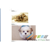 Word图片排版如何对齐 Word图片排版对齐方法介绍