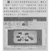 Word 2016剪裁图片