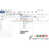 Word2013大小写字母怎么转换?