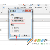 excel表格中的数据复制为图片的方法介绍