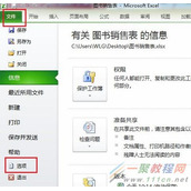 如何使用 Excel 2010 的记录单功能?