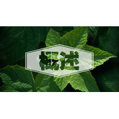 PPT2003镂空文字怎么实现?ppt镂空字的实现方法教程