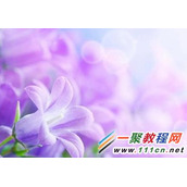 ppt怎么设置背景图片?ppt设置背景图片方法