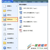 利用wps把word文档转换为PDF文档的方法