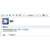 360极速浏览器怎么更新Adobe Flash Player