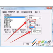 VB6.0如何设置字体格式  VB6.0设置字体格式教程