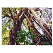 滤镜软件常用的有哪些  各滤镜软件有什么特点