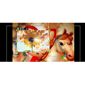 会声会影调整覆叠素材形状教程