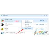 搜狗浏览器不能下载文件解决方法