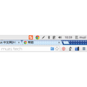 Google Chrome浏览器去掉状态栏图标的简单方法