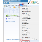 怎么在IE浏览器中批量保存网页地址