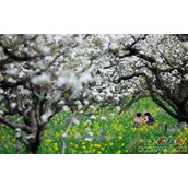 几种常见摄影场景的微单/单反相机设置技巧