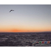 成为手机摄影达人的7个训练方法