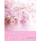 花卉怎么拍摄  花卉有什么拍摄技巧