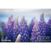 大光圈有什么好处