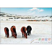 数码单反怎么摄影  数码单反实例教程