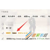 QQ点亮王者荣耀图标