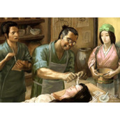 《太阁立志传5 DX》撰写医书结局如何触发