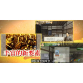 《太阁立志传5 DX》天目山合战触发方法