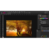 ps历史画笔使用步骤