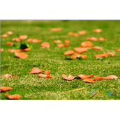 ps制作雨天动图讲解