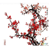 PS使用通道抠梅花