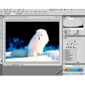photoshop点阵图像与矢量图的区别介绍