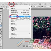 photoshop清晰图打印方法