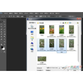 如何利用ps cs6分栏查看照片