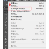 Bridge插件怎么用?PS中怎么使用Bridge插件处理图片?