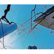 PS结合阈值如何制作剪影效果？PS阈值制作剪影效果教程