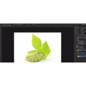 PS纯色背景图怎么抠图？PS纯色背景抠图教程