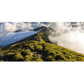 用PS制作文艺范小清新主题风格的男鞋海报教程