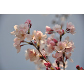 告诉你如何制作漂亮的个性签名教程