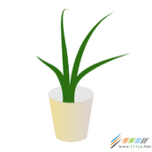 cdr如何画绿植盆栽  cdr画绿植盆栽的方法介绍