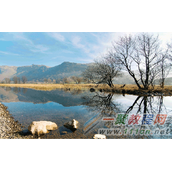 CDR合并模式怎么用 CDR合并模式制作斑驳怀旧照片教程