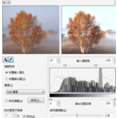 CDR高反差命令怎么用？CDR高反差命令调节位图颜色教程