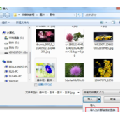 CorelDRAW中如何插入链接位图和嵌入位图？