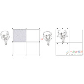 在CorelDRAW中如何将图片放入表格中？