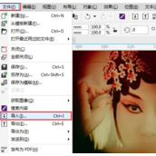 CDR怎么制作字中字效果？CDR制作字中字效果教程